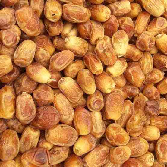 خرما زاهدی نرم خوش طعم با ظاهر طلایی